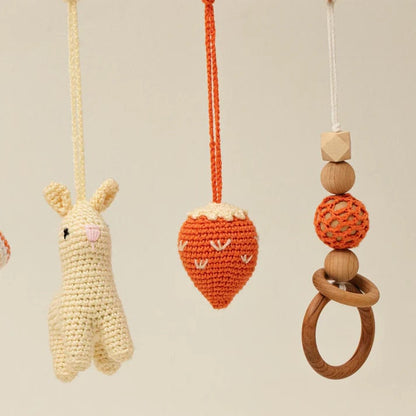 Handmade Baby Play Gym with Crocheted Toys and Personalized Letters